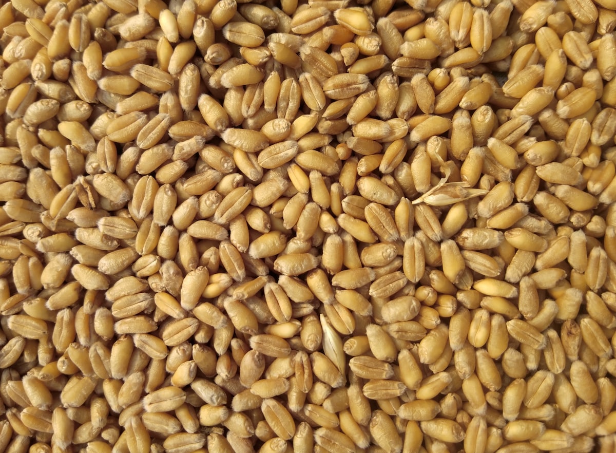 Crop Production
